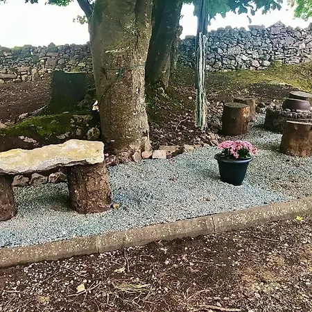 Birch Tree * Westport