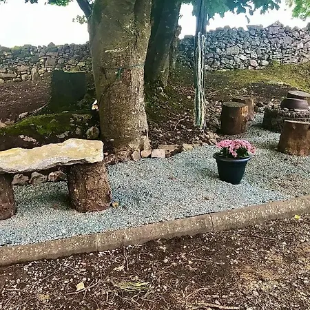 Birch Tree * ويستبورت