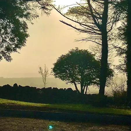 Birch Tree Casa vacanze