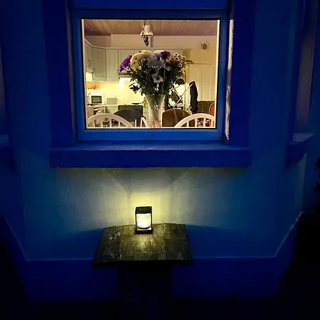 Birch Tree * Westport