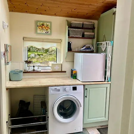 Birch Tree * Westport