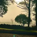 Birch Tree بيت للعطل