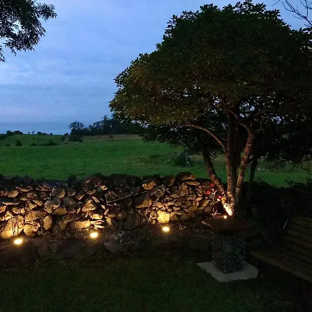 Birch Tree Tatil Evi