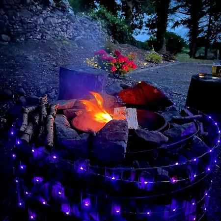 Birch Tree * 韦斯特波特