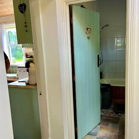 Tatil Evi Birch Tree