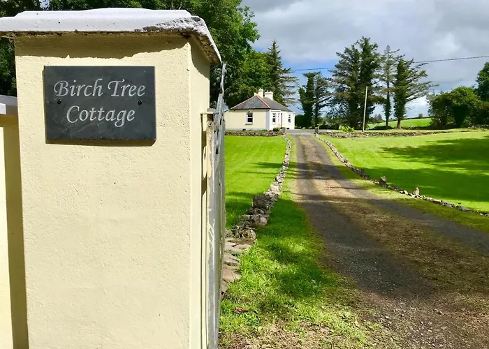 Semesterbostad Birch Tree