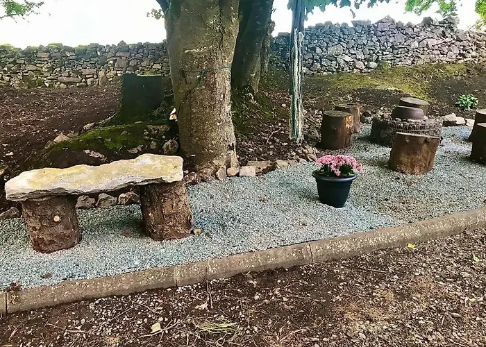 Birch Tree * 韦斯特波特