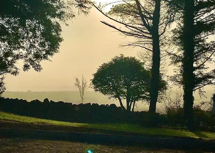 Birch Tree 度假居