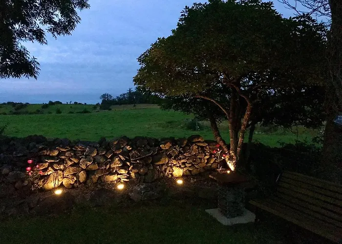 Birch Tree Semesterbostad