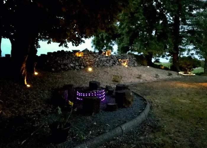 Birch Tree 韦斯特波特