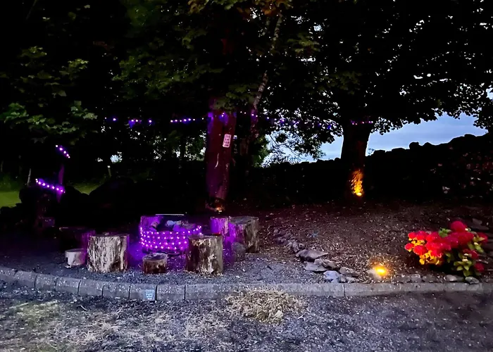 Birch Tree Semesterbostad *