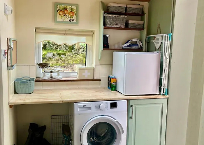 Birch Tree * 韦斯特波特