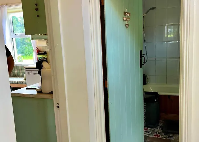 Semesterbostad Birch Tree