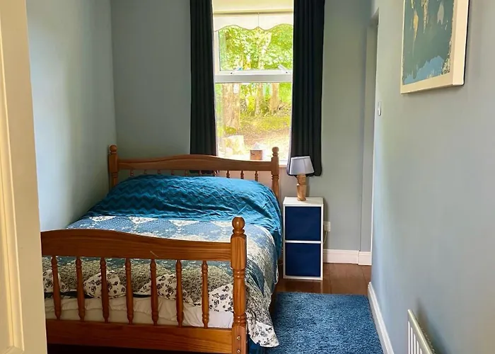 Birch Tree 韦斯特波特