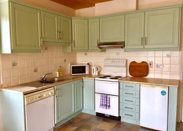 Birch Tree 韦斯特波特